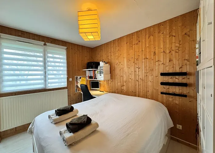 La Chicane - Garage - Proche Circuit - 4p 勒芒